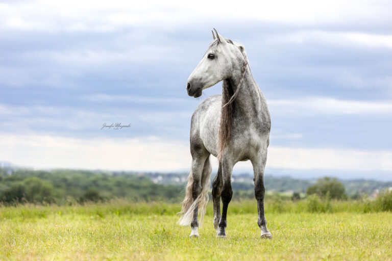 2025-05-27-Spanier-Ibsi-(18)-Web