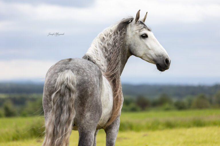 2025-05-27-Spanier-Ibsi-(39)-Web