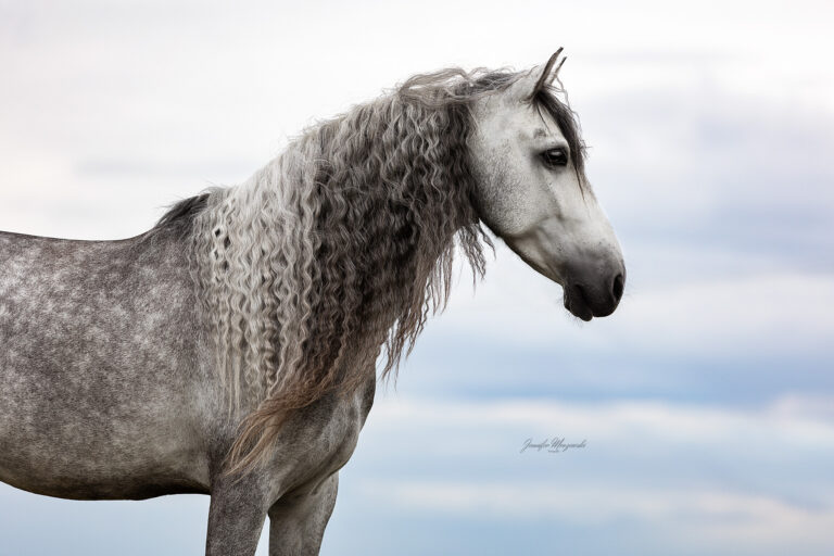 2025-05-27-Spanier-Ibsi-(49-2)-Web