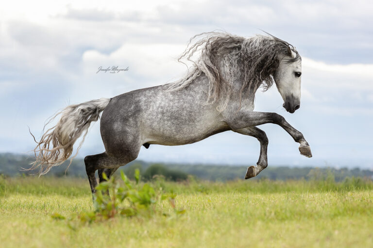 2025-05-27-Spanier-Ibsi-(67)-Web