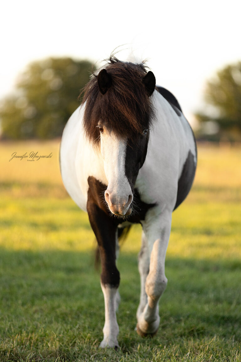 2025-05-28-Dorsten-(152)-Web