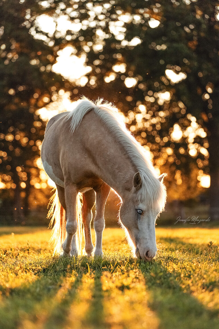 2025-05-28-Dorsten-(161)-Web