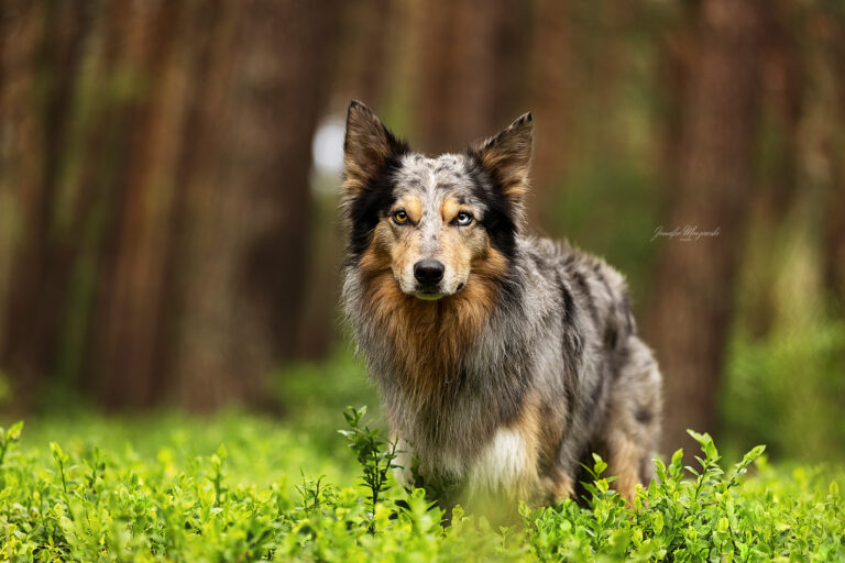 2025-05-28-Dorsten-Kim-(129)-Web