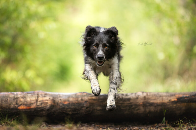 2025-05-28-Dorsten-Kim-(22)-Web