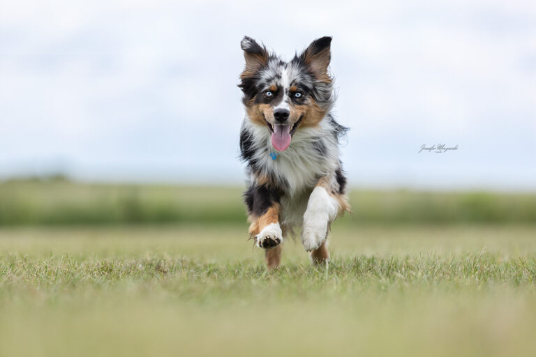 2025-05-29-Isländer-(126)-Web