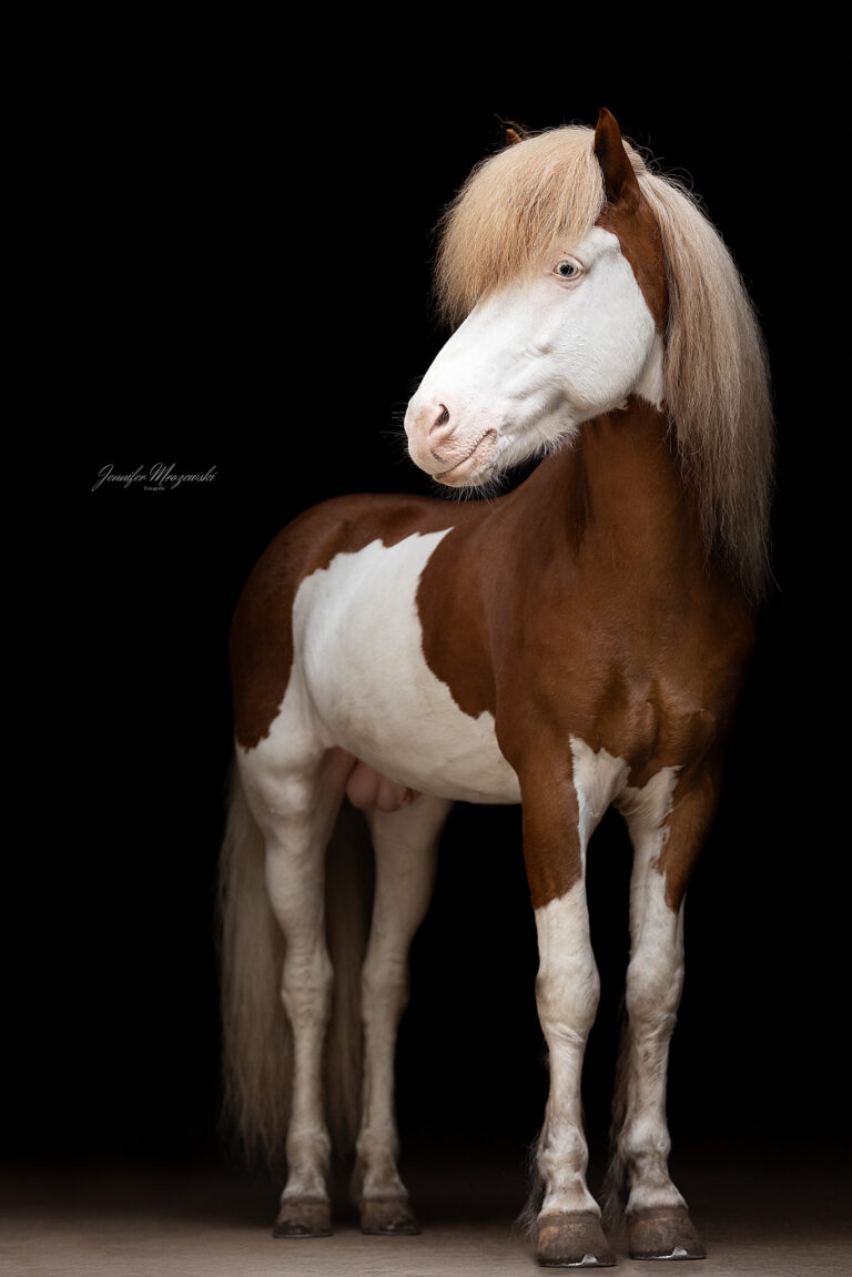 2025-05-30-Isländer-(106)-Web