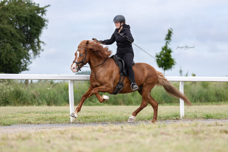 2025-05-30-Isländer-(76)-Web