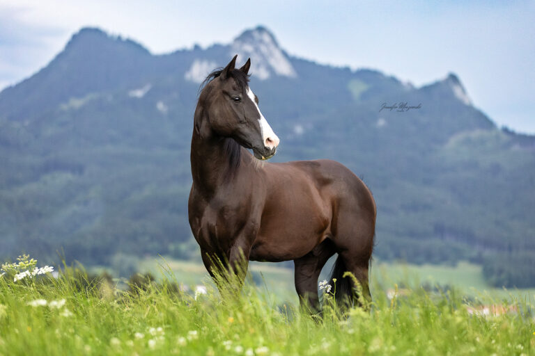 2025-07-19-Blacky-Berge-(11)-Web