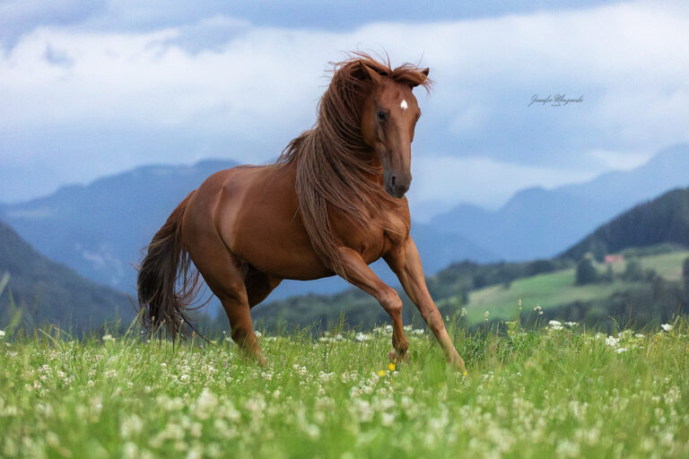 2025-07-19-Boogie-Berg-(72)-Web