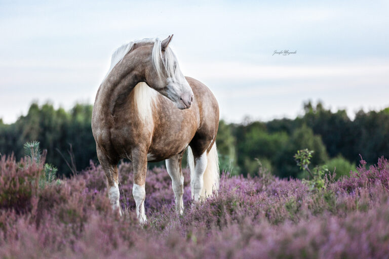 2025-09-07-Heide-Sully-(58)-Web