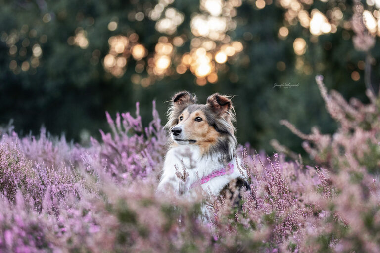 2025-09-07-Heide-Sully-(79)-Web