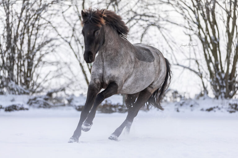 2026-01-04-Schnee-Jessica-(23)-Web