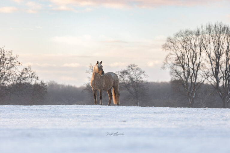 2026-01-04-Schnee-Ponypraline-(159)-Web