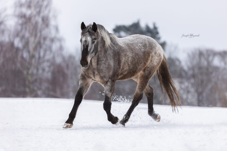 2026-01-05-Maya-Japp-Schnee-(154)-Web