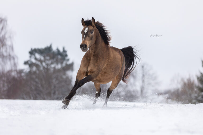 2026-01-05-Maya-Japp-Schnee-(210)-Web