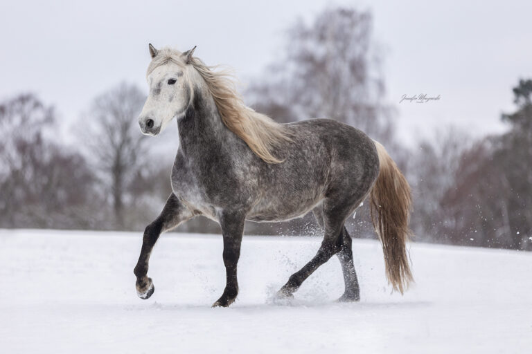 2026-01-05-Maya-Japp-Schnee-(24)-Web