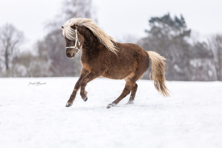 2026-01-05-Maya-Japp-Schnee-(341)-Web
