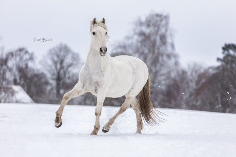 2026-01-05-Maya-Japp-Schnee-(52)-Web