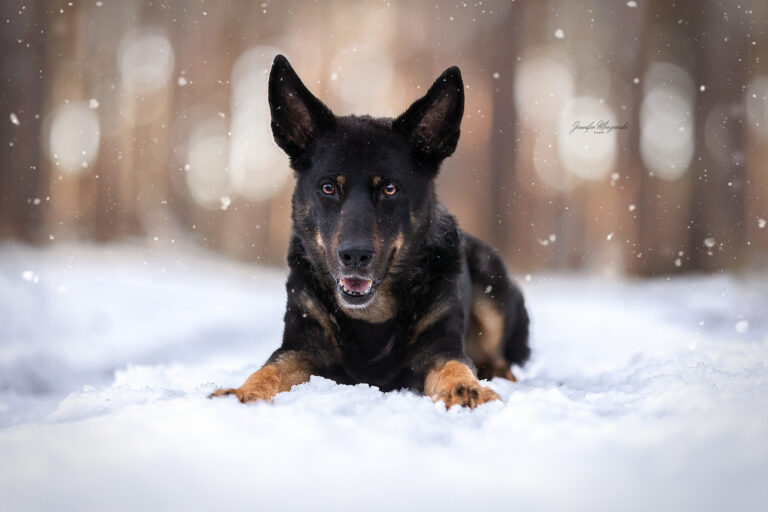 2026-01-28-Maya-Mel-Schnee-(23-3)-Web